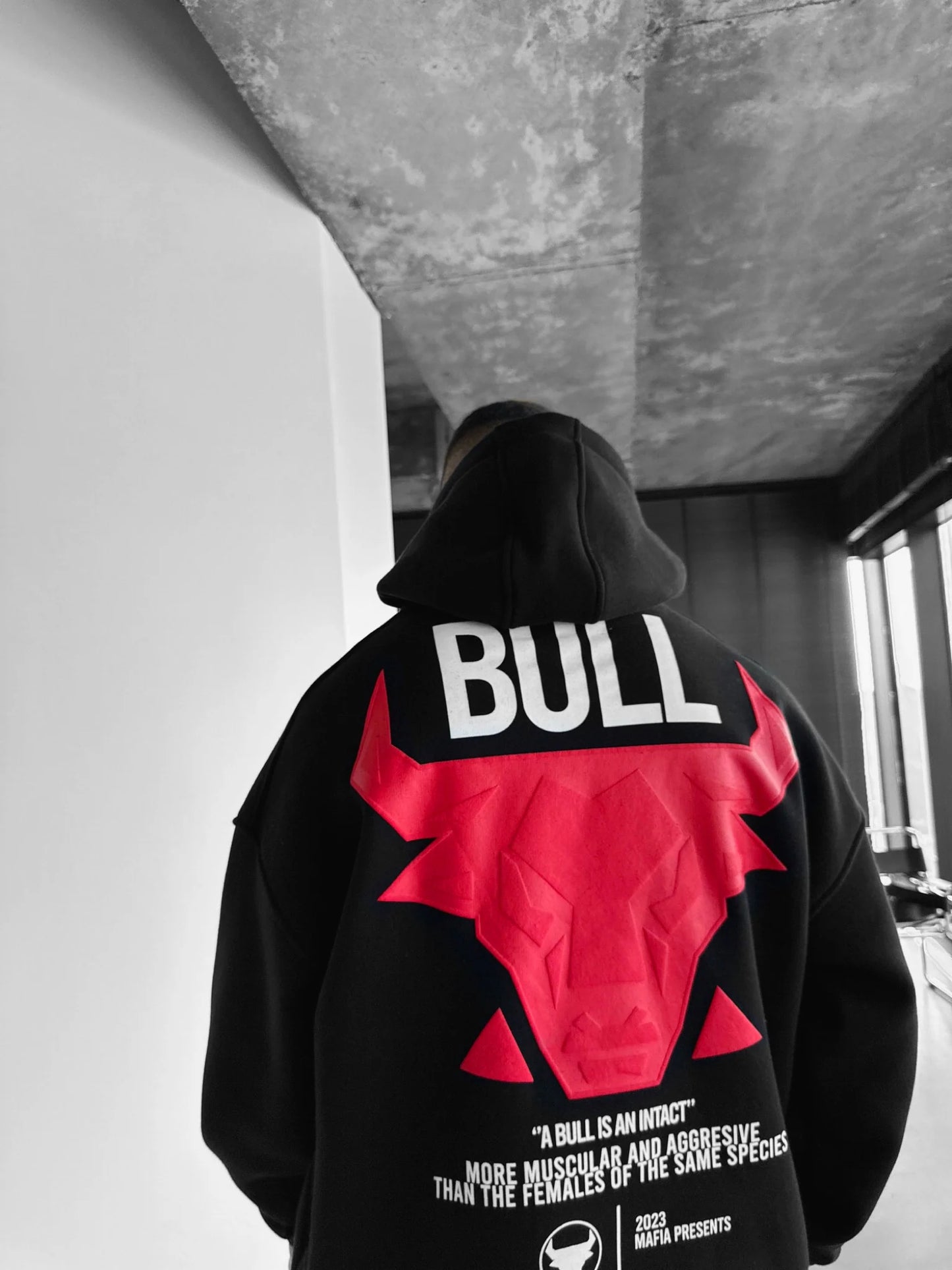 The Bull Hoodie