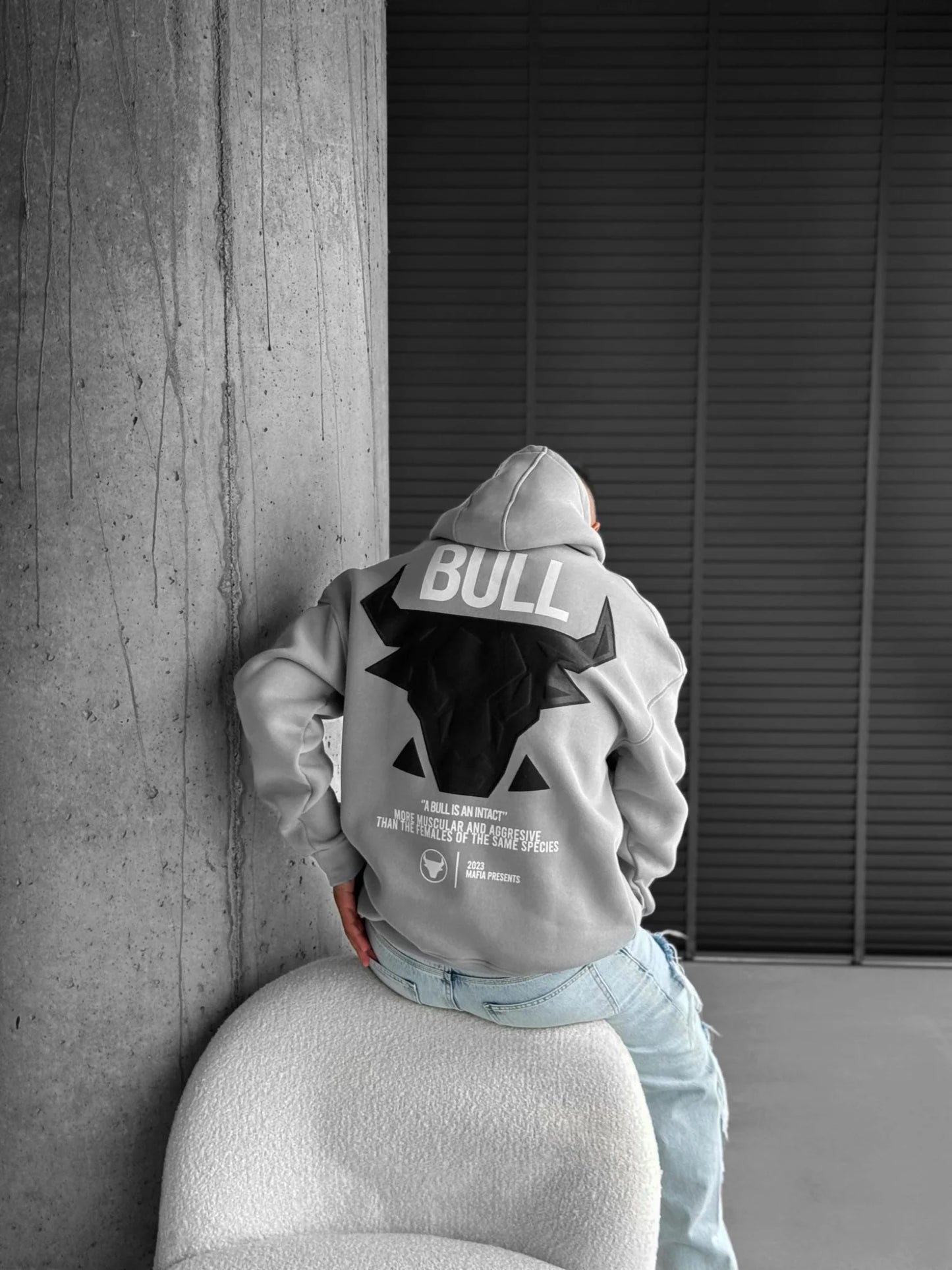 The Bull Hoodie