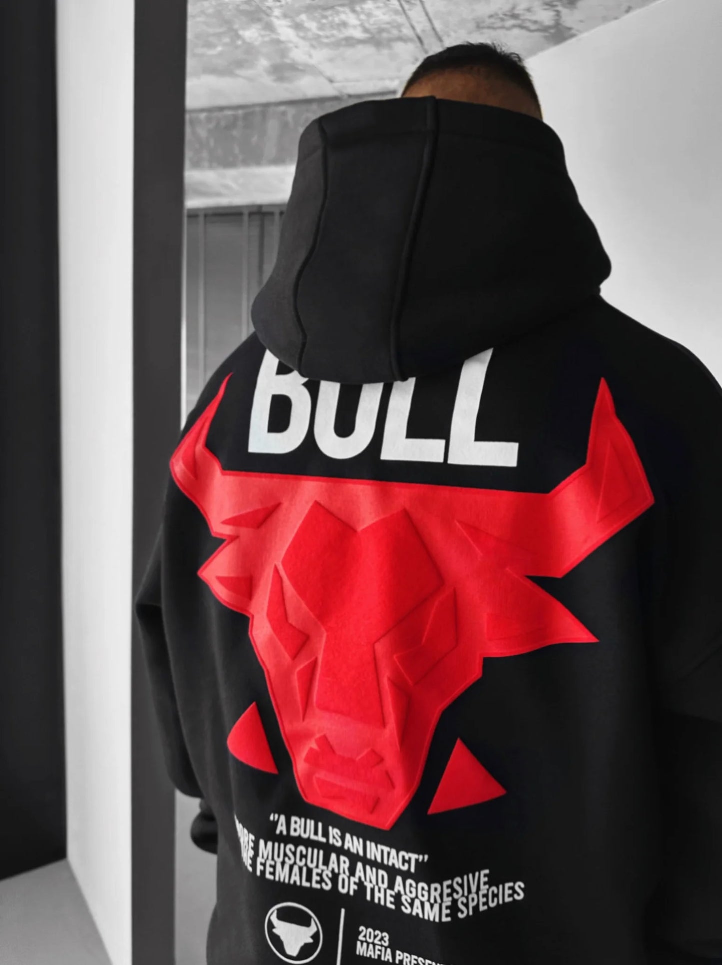 The Bull Hoodie